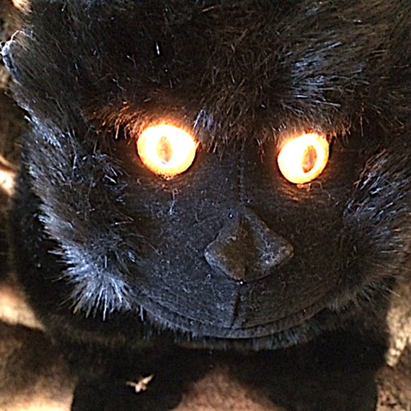 RARE NEW SHOWROOM SAMPLE STARS IN THE WILD PLUSH BLACK AND GRAY GORILLA JUNGLE - Picture 9 of 12